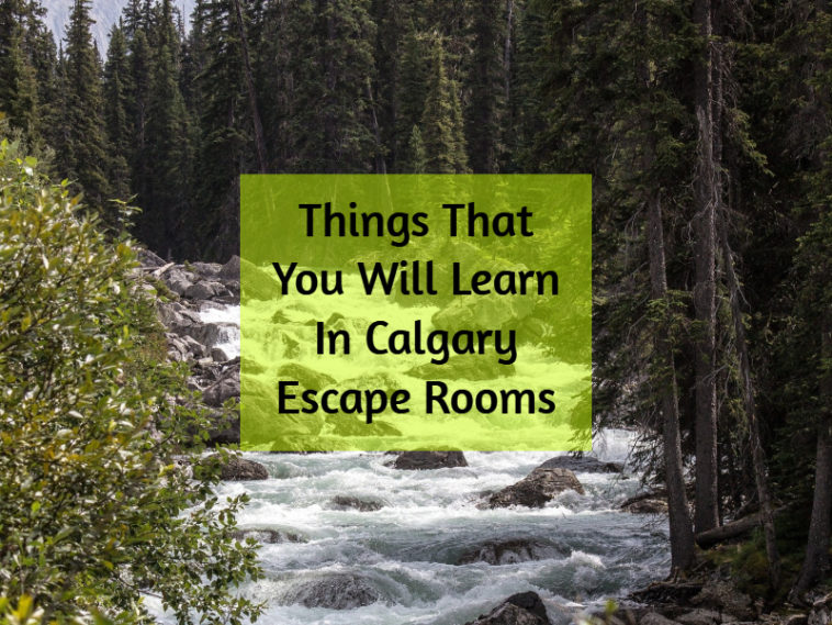 5 Things To Learn in Calgary Escape Rooms