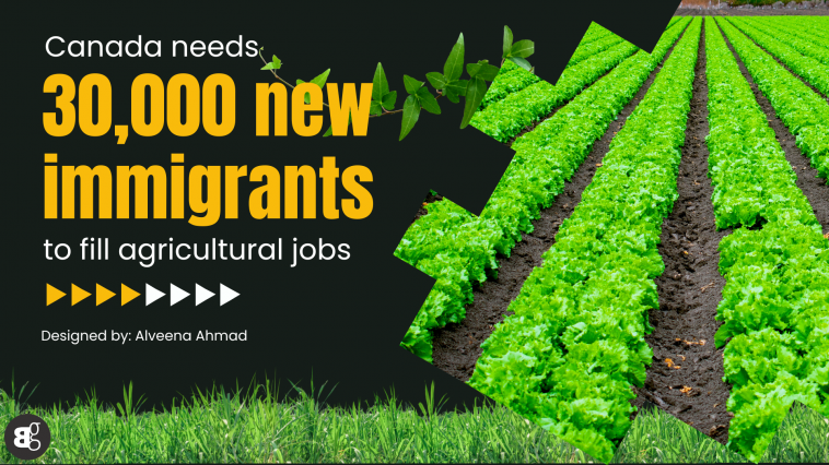 Canadian agriculture sector requires 30,000 new immigrants