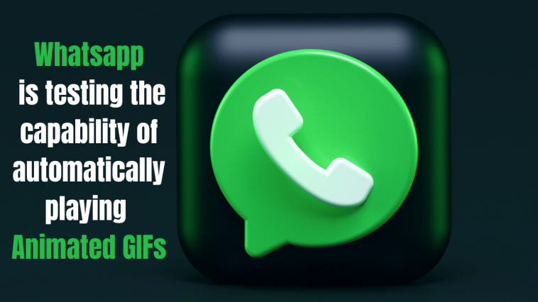 WhatsApp is testing the capability of automatically playing animated GIFs