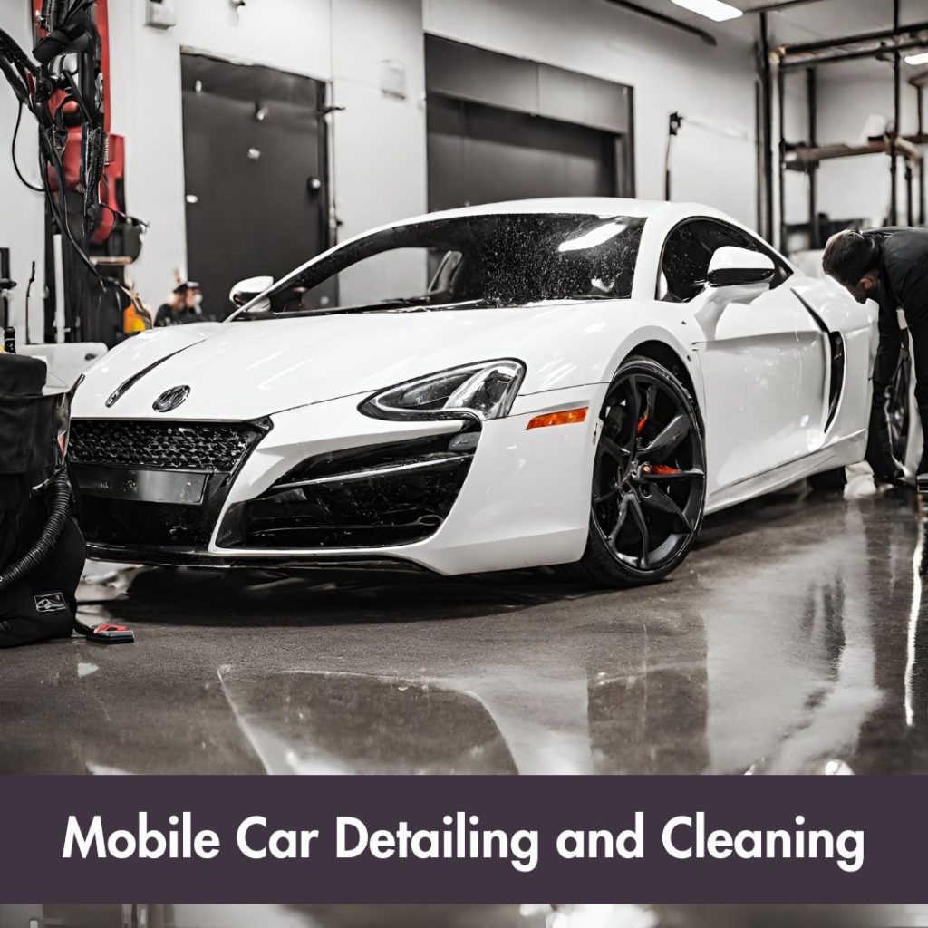 Mobile Car Detailing and Cleaning