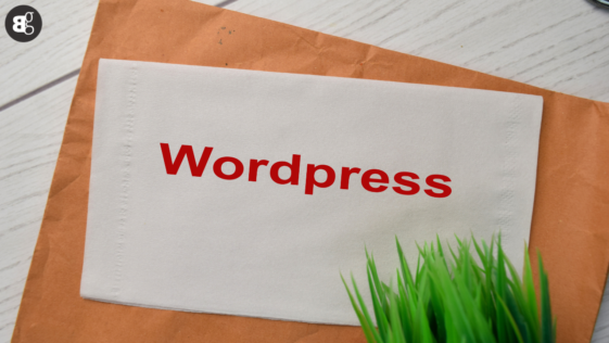 PTA Reports Severe Security Issues in WordPress Plugins